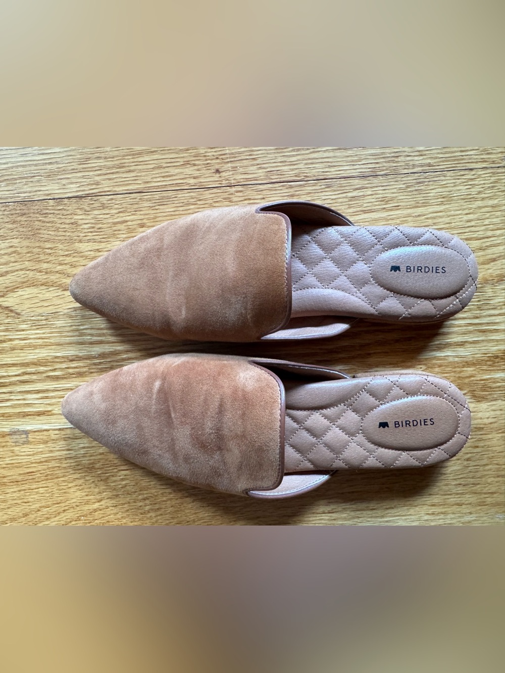 Birdies Pointed Suede Mules in Camel Brown